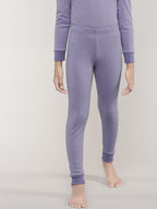 Aster Purple