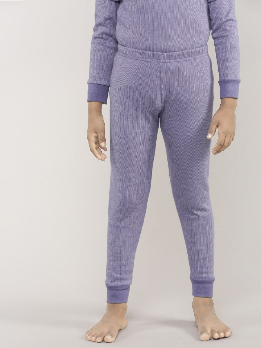 Aster Purple