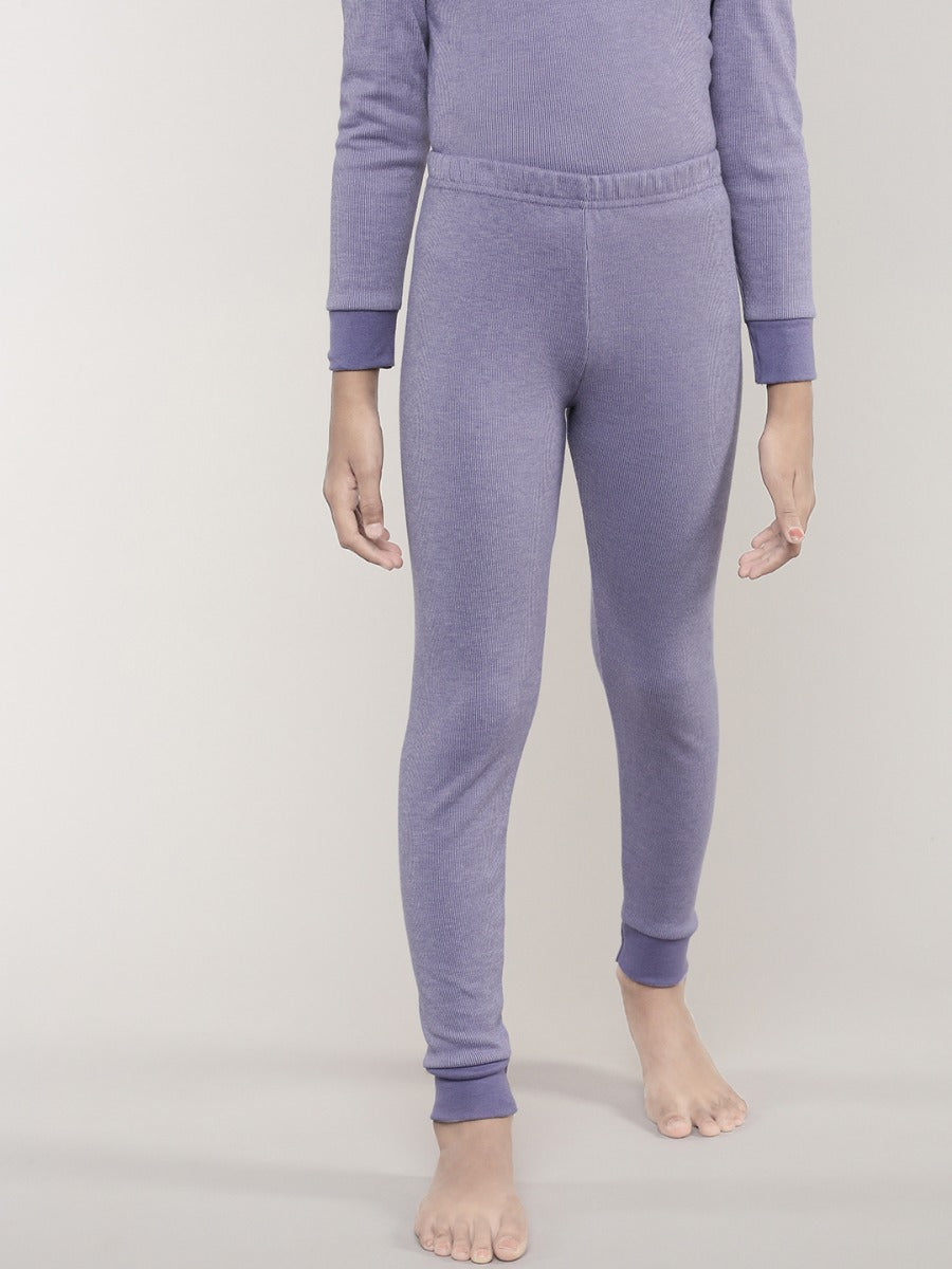 Aster Purple
