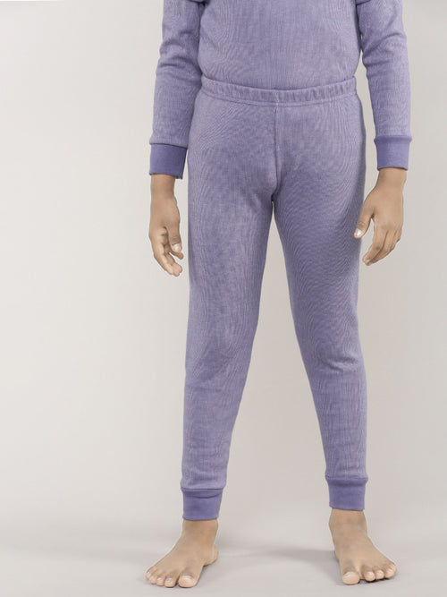 Aster Purple