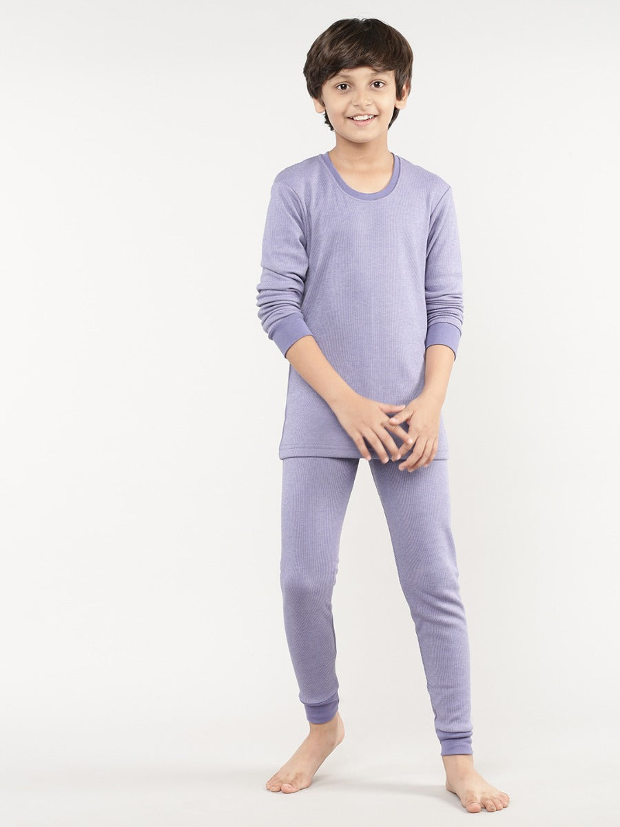 Aster Purple