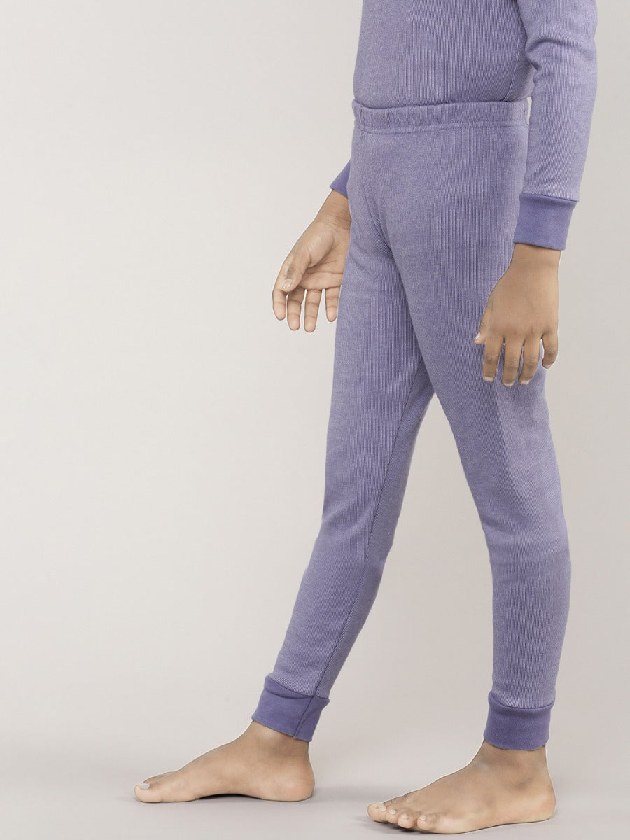 Aster Purple