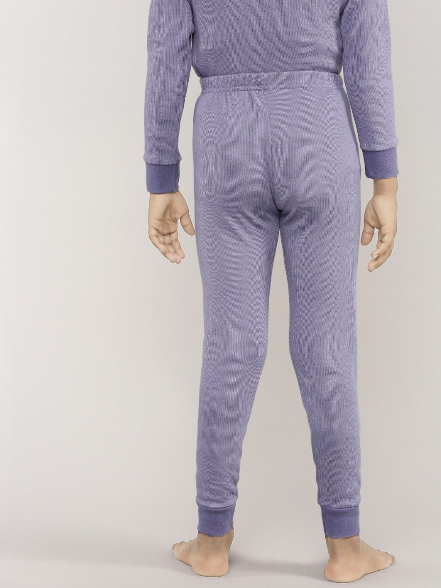Aster Purple