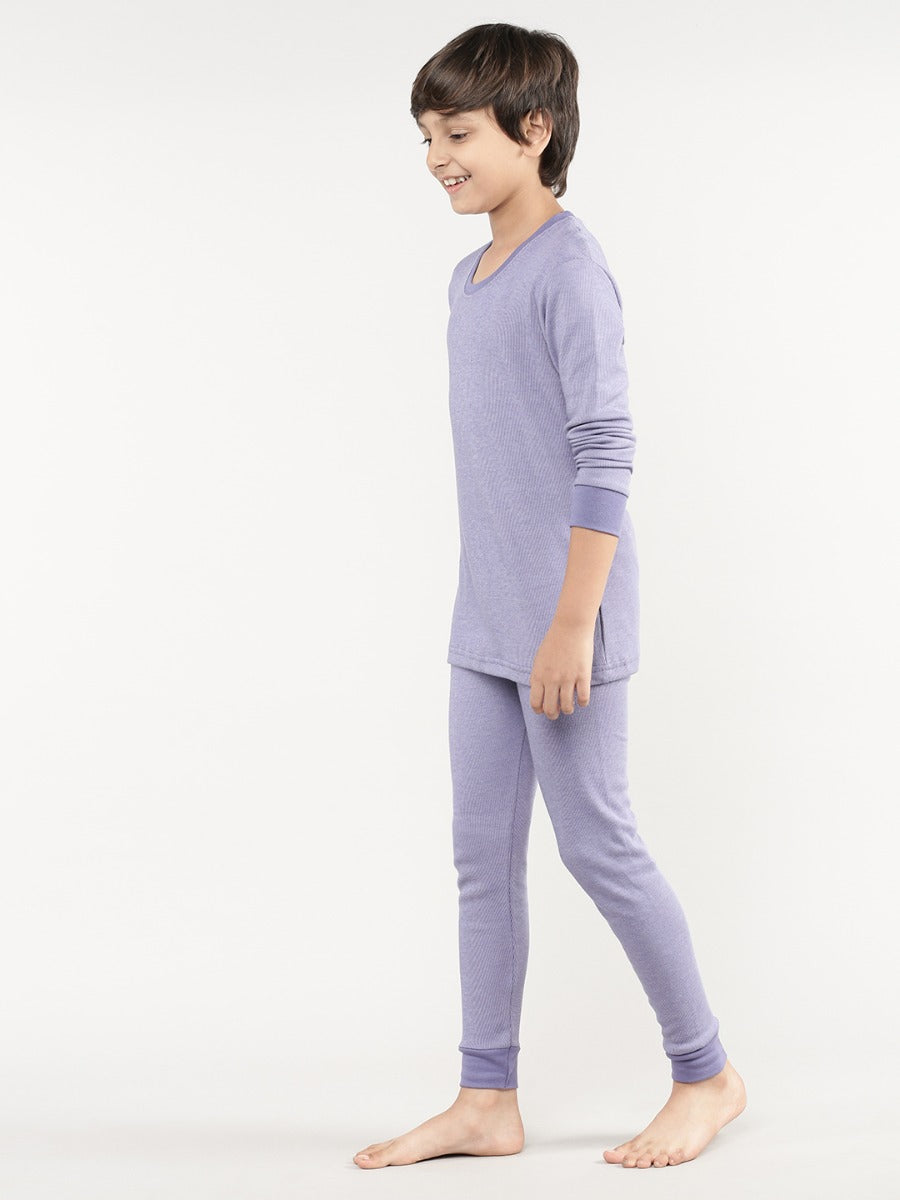 Aster Purple