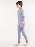 Aster Purple