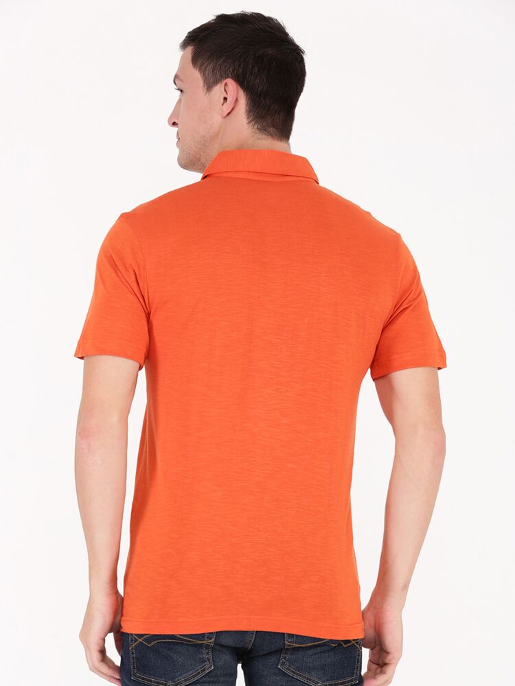 Apricot Orange