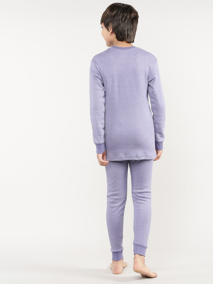 Aster Purple