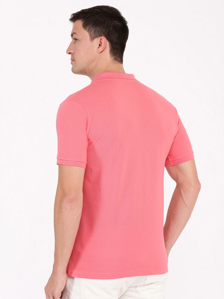 Salmon Rose