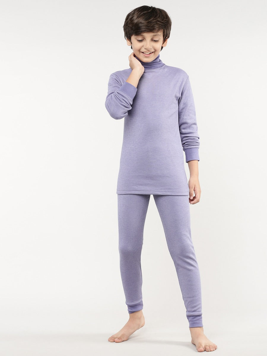 Aster Purple