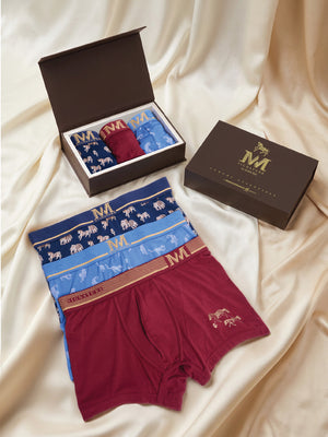 Premium Trunks (Pack of 3) Gift Box Combo | Soft Breathable Stretch Fabric | Luxury Printed & Solid Assorted Trunks | Gifting Collection (RBGBP4)